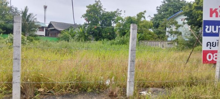 ใช่ ขายที่ดิน 281 ตร.ว. รูปที่ 2