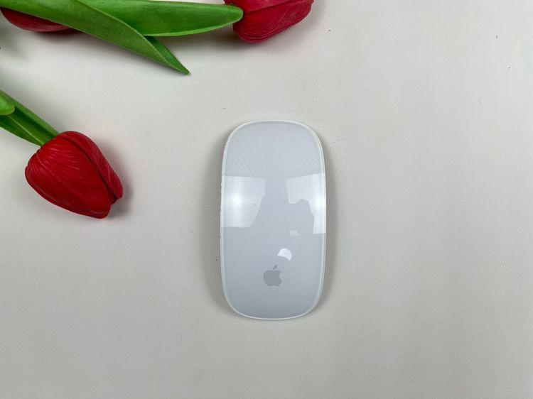Apple Magic Mouse2 (Lightning)