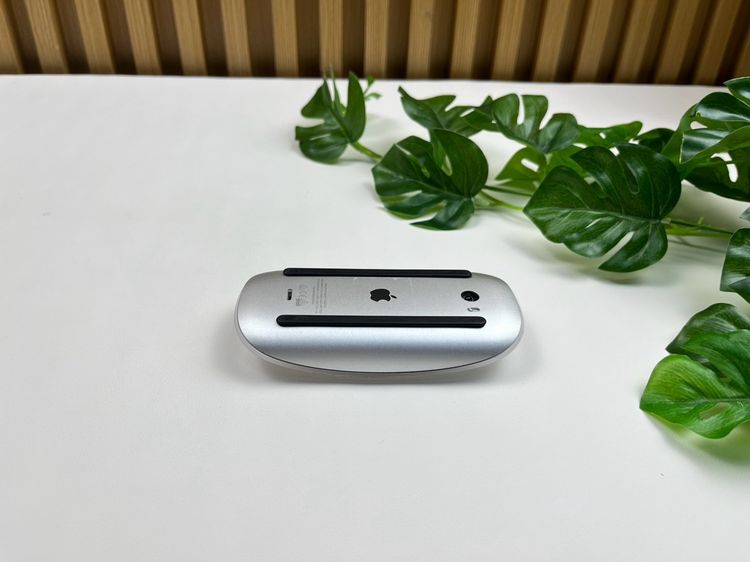 Apple Magic Mouse2 (Lightning) รูปที่ 5