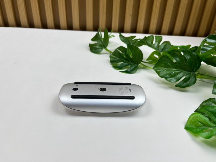 Apple Magic Mouse2 (Lightning) รูปที่ 3