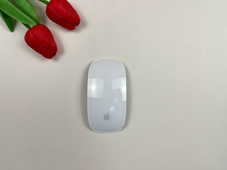 Apple Magic Mouse2 (Lightning)