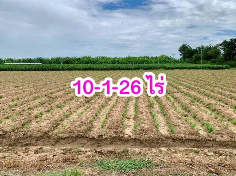 ที่ดินผืนใหญ่ทำเลดี10ไร่ โฉนดครุฑแดงพร้อมโอน ใกล้เทศบาลวังศาลา ท่าม่วง เข้าออกได้หลายทาง ติดถนนสาธารณะ ใกล้ทางด่วนM81 วิวสวย บรรยากาศดี รูปที่ 2