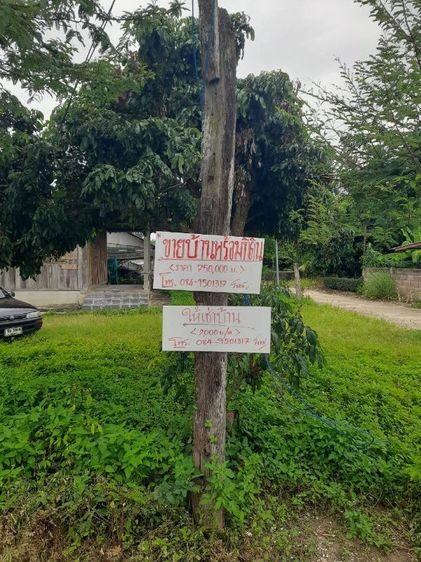 ข้านบ้านไม้สักผสมปูนชั้นเดียว ขนาด 109 ตร.ว