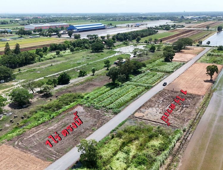 ที่ดินคลองหลวง ผังชมพู น้ำไฟครบ เหมาะทำบ้านสวน โกดัง