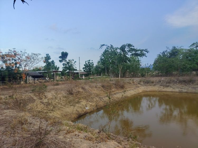 ขายที่ดินวิวภูเขา อ.ปากท่อ จ.ราชบุรี รูปที่ 3