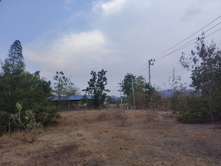 ขายที่ดินวิวภูเขา อ.ปากท่อ จ.ราชบุรี รูปที่ 4