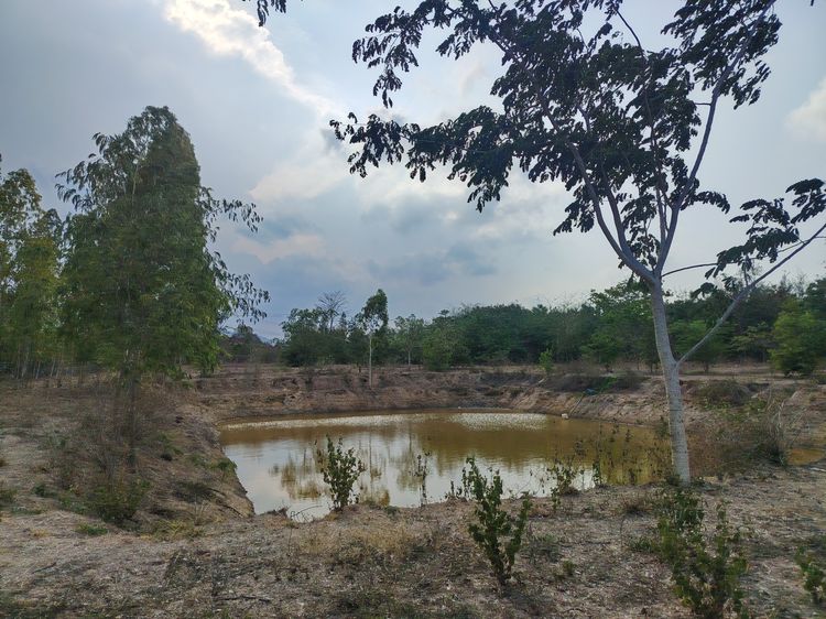ขายที่ดินวิวภูเขา อ.ปากท่อ จ.ราชบุรี รูปที่ 2