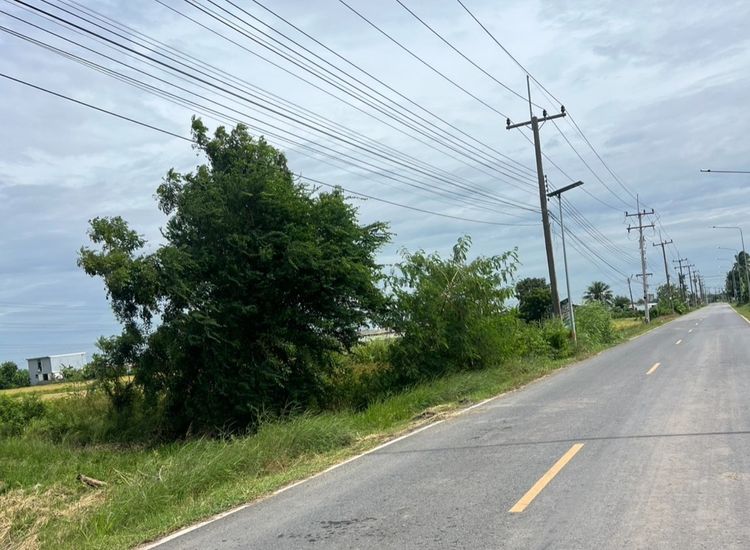 ที่ดินลำลูกกา ทำเลศักยภาพ เหมาะลงทุน ทำที่พัก โกดัง รูปที่ 3