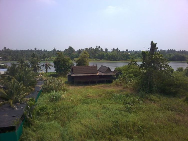 ที่ดินติดแม่น้ำท่าจีน3ไร่ท่าตลาด ใกล้วัดไร่ขิง450เมตร รูปที่ 2