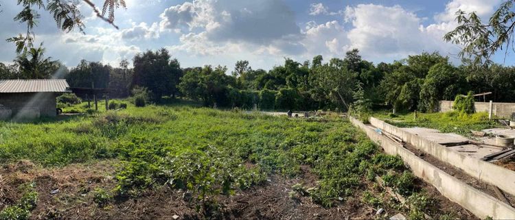 ทำเลทอง ขนงพระเหนือ ปากช่องเขาใหญ่ พร้อมโอน