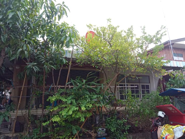 บ้านพร้อมที่ดิน กลางเมืองโคราช พร้อมโอน รูปที่ 2