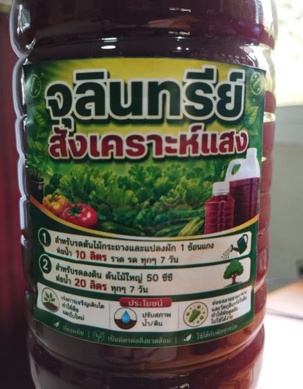 หัวเชื้อจุลินทรีย์สังเคราะห์แสง