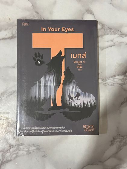 In Your Eyes เล่ม 3 (ซีล)