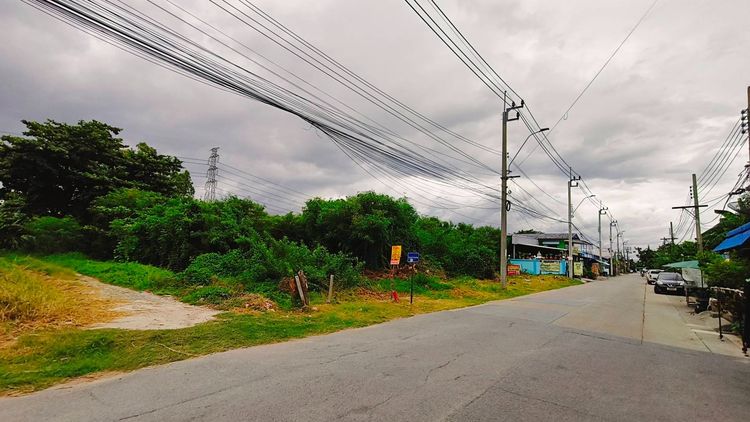 ขายที่ดิน280ตรว.เพชรเกษม81 รูปที่ 4
