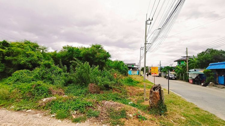 ขายที่ดิน280ตรว.เพชรเกษม81 รูปที่ 2