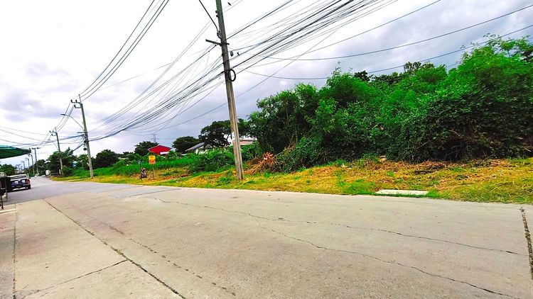 ขายที่ดิน280ตรว.เพชรเกษม81