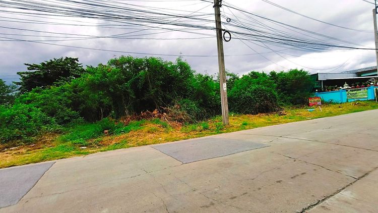 ขายที่ดิน280ตรว.เพชรเกษม81 รูปที่ 3
