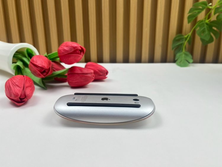 Apple Magic Mouse2 (Lightning) • 64225 รูปที่ 5