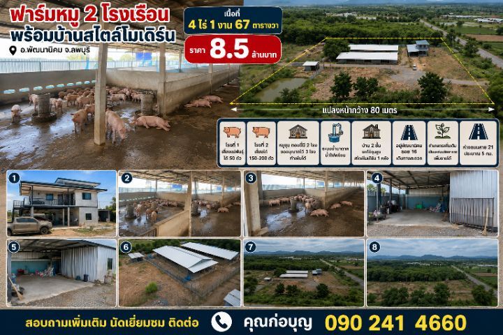 ขายกิจการฟาร์มหมู บนที่ดิน 4 ไร่กว่า ติดถนน 2 ด้าน พร้อมบ้านโมเดิร์นและอุปกรณ์ครบ ดำเนินกิจการต่อได้ทันที