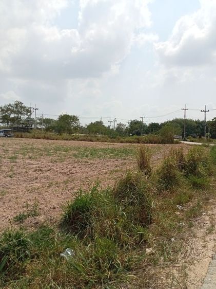 ขายที่ดินไปลวกแดง22ไร่ซอยมาบยางพร15