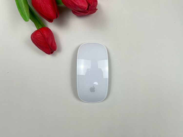 อื่นๆ Apple Magic Mouse2 (Lightning)