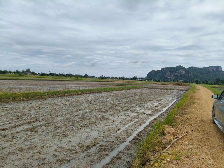 ขายที่ปลูกบ้านอ.เมืองราชบุรี รูปที่ 3