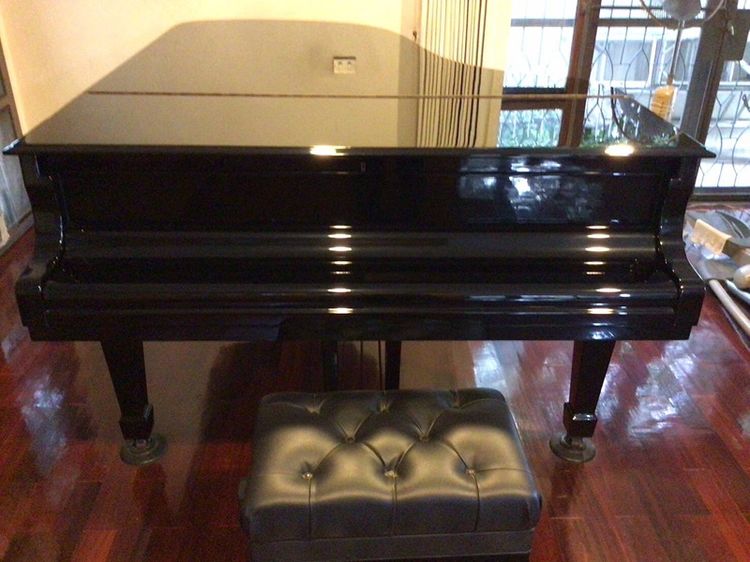 ขายเปียนโน Steinway&sons มือ2 รุ่น B Model. ผลิตปี 2003 ครับ รูปที่ 15