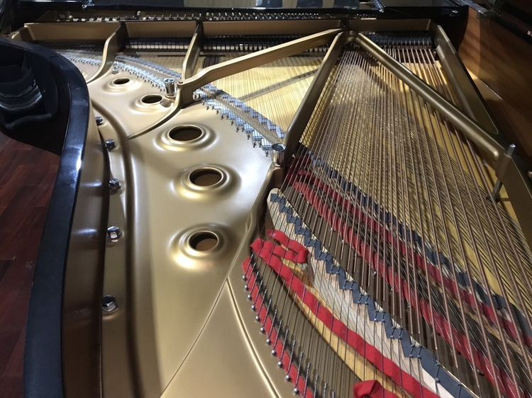 ขายเปียนโน Steinway&sons มือ2 รุ่น B Model. ผลิตปี 2003 ครับ รูปที่ 5