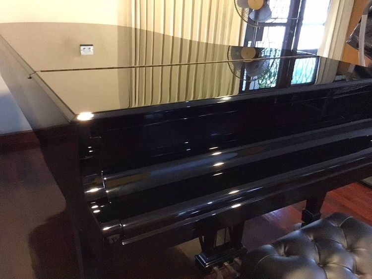 ขายเปียนโน Steinway&sons มือ2 รุ่น B Model. ผลิตปี 2003 ครับ รูปที่ 14