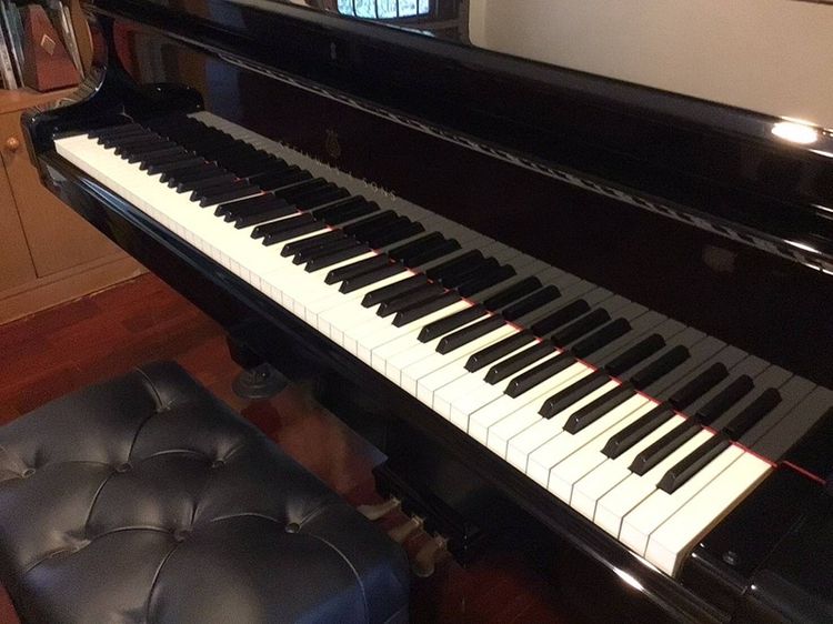 ขายเปียนโน Steinway&sons มือ2 รุ่น B Model. ผลิตปี 2003 ครับ รูปที่ 10