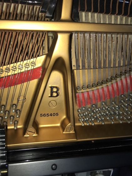 ขายเปียนโน Steinway&sons มือ2 รุ่น B Model. ผลิตปี 2003 ครับ รูปที่ 8