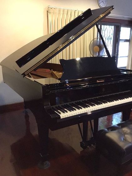 ขายเปียนโน Steinway&sons มือ2 รุ่น B Model. ผลิตปี 2003 ครับ รูปที่ 11