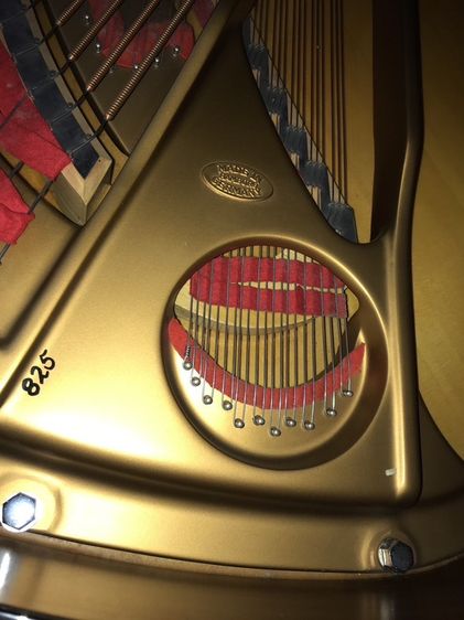 ขายเปียนโน Steinway&sons มือ2 รุ่น B Model. ผลิตปี 2003 ครับ รูปที่ 6
