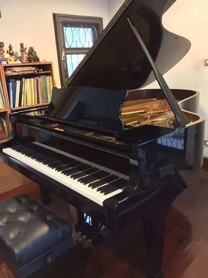 ขายเปียนโน Steinway&sons มือ2 รุ่น B Model. ผลิตปี 2003 ครับ รูปที่ 12