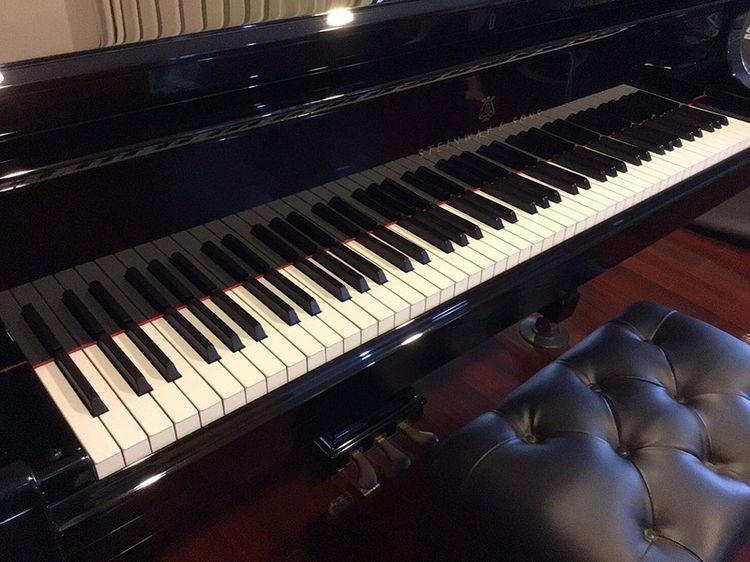 ขายเปียนโน Steinway&sons มือ2 รุ่น B Model. ผลิตปี 2003 ครับ รูปที่ 9