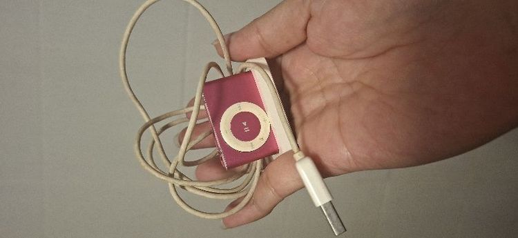 apple, ipod
