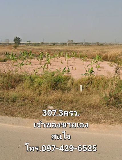 ขายที่ดินสวย ติดถนน หน้ากว้าง73เมตร อ.เมือง จ.พะเยา อยู่ใกล้สถานีรถไฟ เเม่กาโทกหวาก
