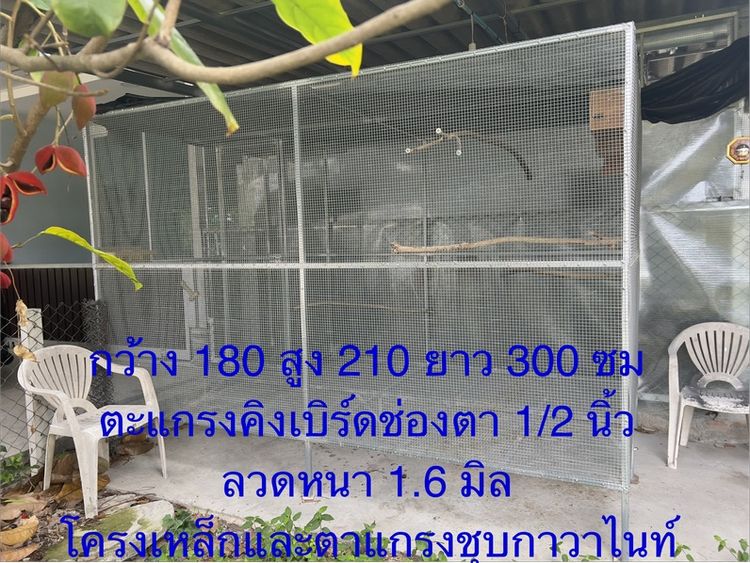 กรง คอกและประตู กรงนกประตูเซฟตี้