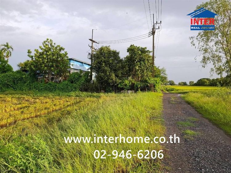 ที่ดินเปล่า 3 ไร่ 206.1 ตร.ว. ที่ดิน ซอยศาลาแดง11 ถนนสุวินทวงศ์ ถนนบางน้ำเปรี้ยว บางน้ำเปรี้ยว ฉะเชิงเทรา รูปที่ 2