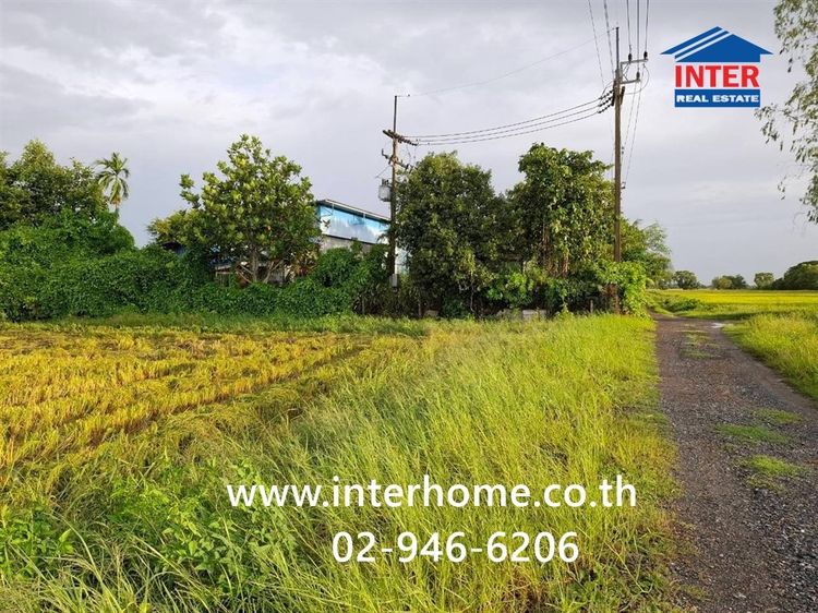 ที่ดินเปล่า 3 ไร่ 206.1 ตร.ว. ที่ดิน ซอยศาลาแดง11 ถนนสุวินทวงศ์ ถนนบางน้ำเปรี้ยว บางน้ำเปรี้ยว ฉะเชิงเทรา
