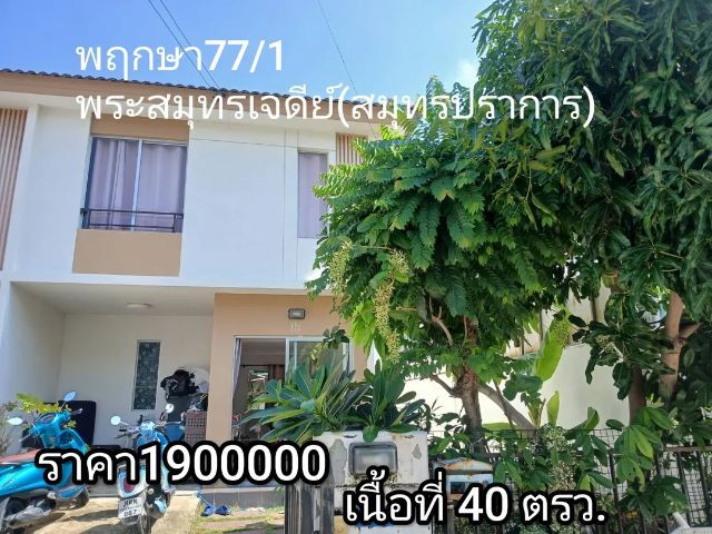 ขายบ้านพร้อมที่ดิน40 ตารางวา ราคาถูกมาก เพียง1900000 หมู่บ้านพฤกษา77 กาญจนาสุขสวัสดิ์ สมุทรปราการ