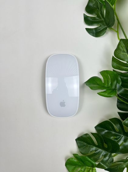 Apple Magic Mouse2 (Lightning) 