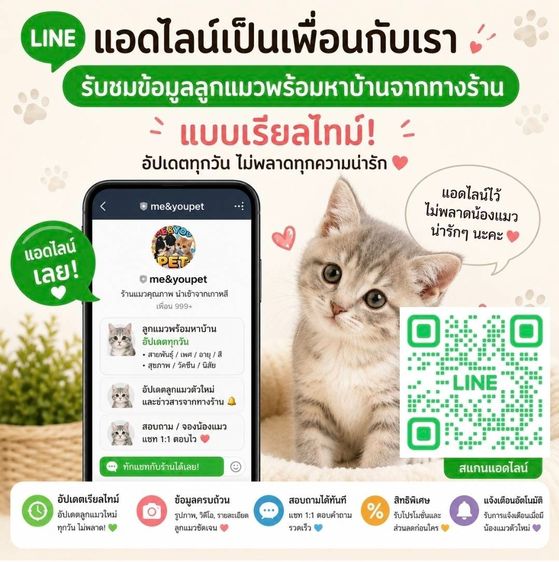 Munchkin Short Leg รูปที่ 4