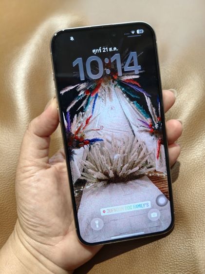 Iphone 15 Pro Max 512GB.