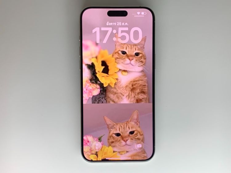 iPhone 15 Pro Max 256GB Nature Titanium รูปที่ 3