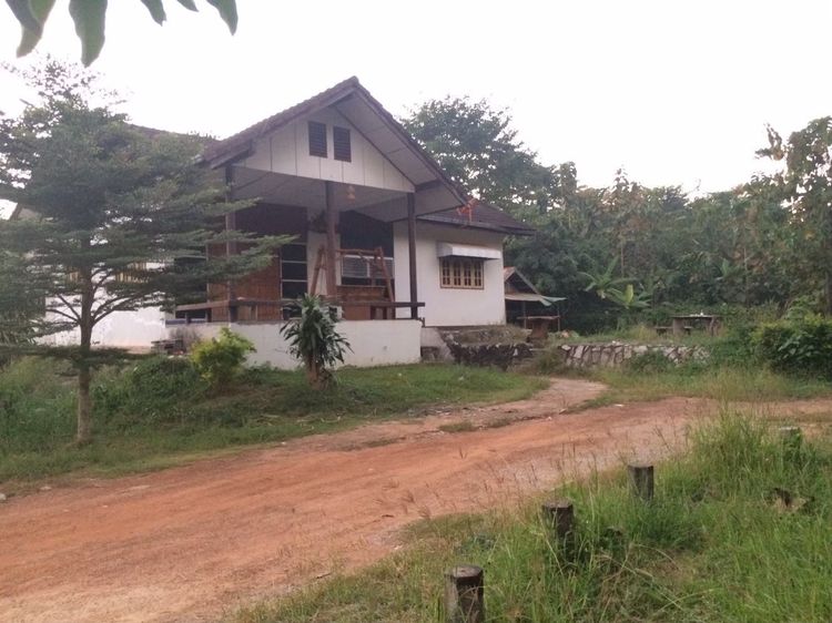 ไม่มี 🏡🔥 ขายบ้านพร้อมที่ดิน จังหวัดเลย เนื้อที่ 3 งาน 72 ตร.ว. บ้านหลังใหญ่ บรรยากาศร่มรื่น  (ขายตามสถาพ เหมาะรีโนเวท)