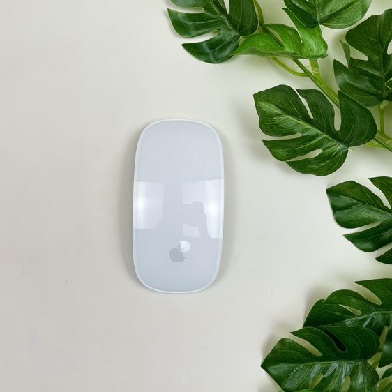 เม้าส์ และคีย์บอร์ด Apple Magic Mouse2 (Lightning) 