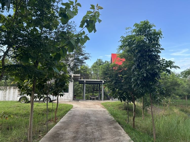 บ้านสวน 7 ไร่ ชานเมืองชัยภูมิ รูปที่ 2