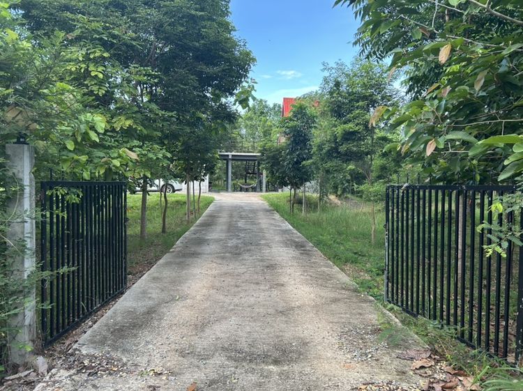 บ้านสวน 7 ไร่ ชานเมืองชัยภูมิ