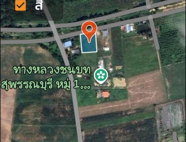 ที่ดิน200ตารางวาสุพรรณบุรี รูปที่ 3